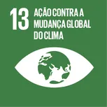 ODS 13 — Ação contra a mudança global do clima