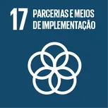ODS 17 — Parcerias e meios de implementação